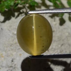 4.5ct Oval Cabochon Golden Green Cat's Eye Apatite for sale thumb image of 4.5ct Oval Cabochon Golden Green Cat's Eye Apatite (ID: 483938)