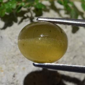 Cat's Eye Apatite Gemstone in 10.2 x 8.8 mm Size for Sale, Cat's Eye Apatite Stone in Golden Green Color