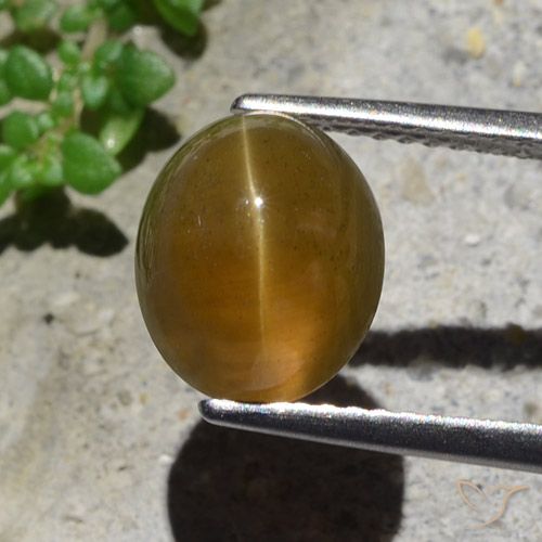 Apatite occhio di gatto marrone da 3,95 ct, taglio ovale da 9,6 x 8 mm dal Kenya, Photo A