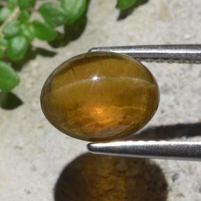 Cat's Eye Apatite Gemstone in 9.1 x 7.3 mm Size for Sale, Cat's Eye Apatite Stone in Golden Green Color