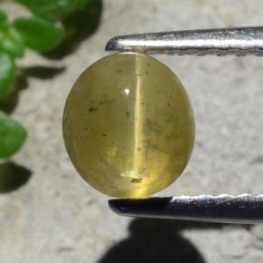 1.4ct Oval Cabochon Golden Green Cat's Eye Apatite for sale thumb image of 1.4ct Oval Cabochon Golden Green Cat's Eye Apatite (ID: 483941)