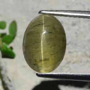 Deep Green Cat's Eye Apatite Gem - 3.7ct Oval Cabochon (ID: 483980)