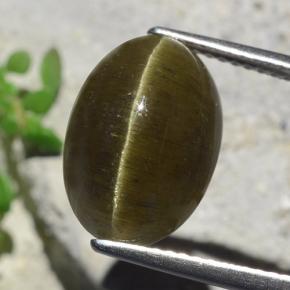 8ct Oval Cabochon Golden Green Cat's Eye Apatite for sale thumb image of 8ct Oval Cabochon Golden Green Cat's Eye Apatite (ID: 483981)