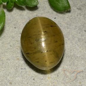 4.09 ct Yellow Cat's Eye Apatite Stone, Natural Cat's Eye Apatite in Oval Cabochon Shape for Sale