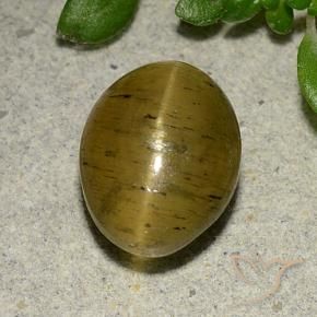 Cat's Eye Apatite Gemstone in 9.9 x 7.7 mm Size for Sale, Cat's Eye Apatite Stone in Yellow Brown Color