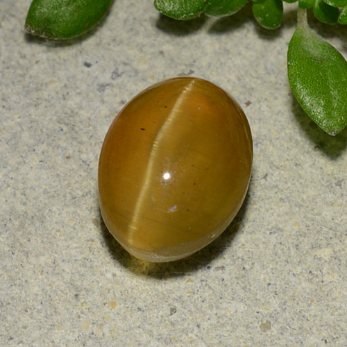 Oeil de chat Apatite Doré Ovale 8,9 x 6,6mm du Kenya, poids de 2,92 ct, pierre gemme naturelle Non traité de pureté Translucide, 1 pièce d'apatite œil de chat oval cabochon, couleur : Brun doré, dureté de Mohs de 5 à 5, Photo A