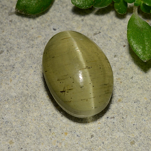 Light Gold Апатит Кошачий Глаз Камень - 3ct Овал Кабошон (ID: 485996)