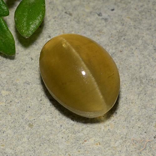 3.14 ct Yellow Cat's Eye Apatite Stone, Natural Cat's Eye Apatite in Oval Cabochon Shape for Sale