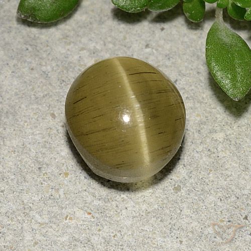 Apatite gialla a occhio di gatto da 2,7 ct, taglio ovale da 7,9 x 7,1 mm dal Kenya, Photo A