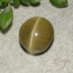 2.70 ct Yellow Cat's Eye Apatite Stone, Natural Cat's Eye Apatite in Oval Cabochon Shape for Sale