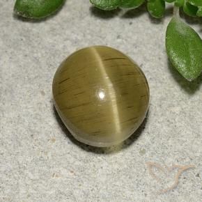 Cat's Eye Apatite Gemstone in 7.9 x 7.1 mm Size for Sale, Cat's Eye Apatite Stone in Medium Yellow Color