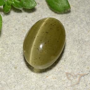 3.10 ct Yellow Cat's Eye Apatite Stone, Natural Cat's Eye Apatite in Oval Cabochon Shape for Sale