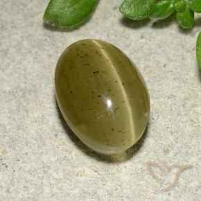 Cat's Eye Apatite Gemstone in 9.5 x 6.7 mm Size for Sale, Cat's Eye Apatite Stone in Neutral Yellow Color