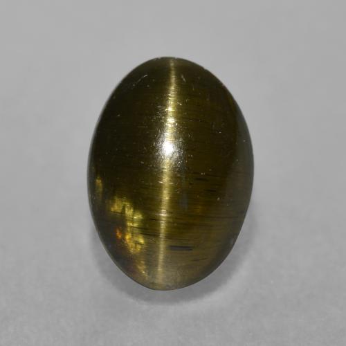Зеленовато-коричневый Апатит Кошачий Глаз Камень - 2.4ct Овал Кабошон (ID: 486001)