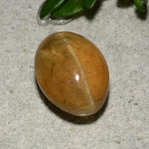 3.58 ct Orange Cat's Eye Apatite Stone, Natural Cat's Eye Apatite in Oval Cabochon Shape for Sale