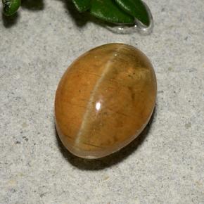 Cat's Eye Apatite Gemstone in 9.7 x 7.1 mm Size for Sale, Cat's Eye Apatite Stone in Medium Orange Color