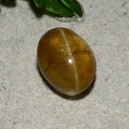 gold-braun Apatit-Katzenauge Edelstein - 2.6ct Oval Cabochon (ID: 486003)