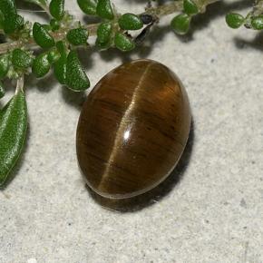 Темно-коричневый Апатит Кошачий Глаз Камень - 2.6ct Овал Кабошон (ID: 486007)