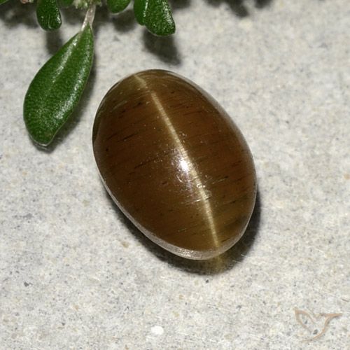 Apatite effetto occhio di gatto Ovale cabochon da 2,64 ct dal Kenya, dimensione 9,1 x 6,3mm, purezza Translucent, pietra preziosa naturale non trattati, Apatite effetto occhio di gatto 1pc in colore Marrone caldo, durezza Mohs di 5 - 5, Photo A