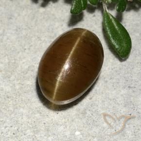 2.64 ct Brown Cat's Eye Apatite Stone, Natural Cat's Eye Apatite in Oval Cabochon Shape for Sale