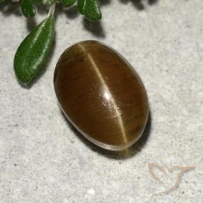 Cat's Eye Apatite Gemstone in 9.1 x 6.3 mm Size for Sale, Cat's Eye Apatite Stone in Warm Brown Color