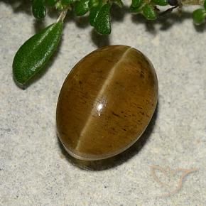 Cat's Eye Apatite Gemstone in 9.4 x 6.9 mm Size for Sale, Cat's Eye Apatite Stone in Warm Brown Color
