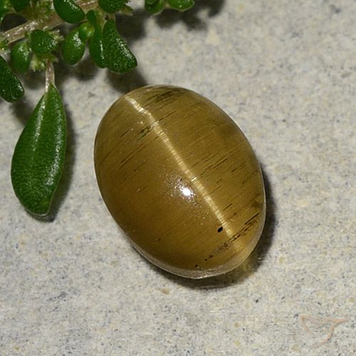 Apatite gialla a occhio di gatto da 2,46 ct, taglio ovale da 9,2 x 6,6 mm dal Kenya, Photo A
