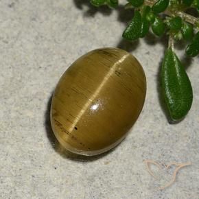 2.46 ct Yellow Cat's Eye Apatite Stone, Natural Cat's Eye Apatite in Oval Cabochon Shape for Sale