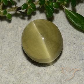 3.09 ct Yellow Cat's Eye Apatite Stone, Natural Cat's Eye Apatite in Oval Cabochon Shape for Sale