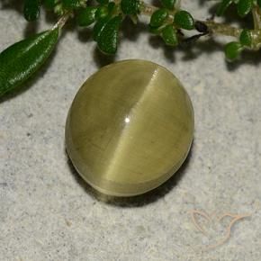 Cat's Eye Apatite Gemstone in 8.1 x 7.4 mm Size for Sale, Cat's Eye Apatite Stone in Earthy Yellow Color