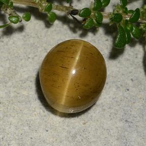 2.60 ct Golden Cat's Eye Apatite Stone, Natural Cat's Eye Apatite in Oval Cabochon Shape for Sale