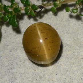 Cat's Eye Apatite Gemstone in 7.7 x 6.9 mm Size for Sale, Cat's Eye Apatite Stone in Brownish Golden Color