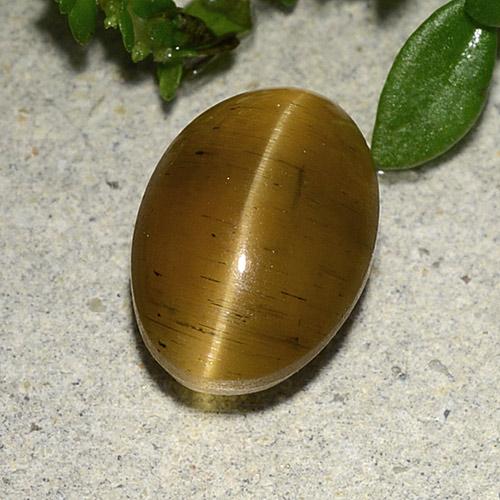Marrón claro Apatita Ojo de Gato Gema - 3.4ct Cabujón Óvalo (ID: 486160)