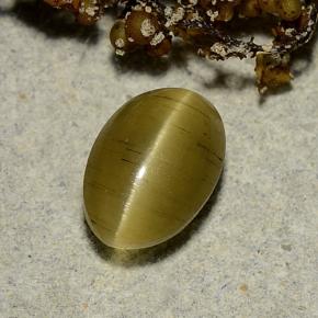 2.4ct Oval Cabochon Golden Green Cat's Eye Apatite for sale thumb image of 2.4ct Oval Cabochon Golden Green Cat's Eye Apatite (ID: 486162)