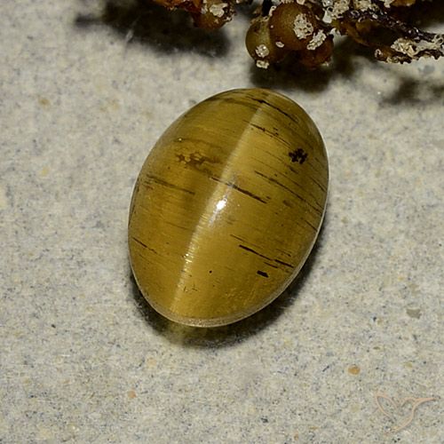 2.63 ct Yellow Cat's Eye Apatite, 8.8 x 6.4 mm Oval Cut From Kenya, Photo A
