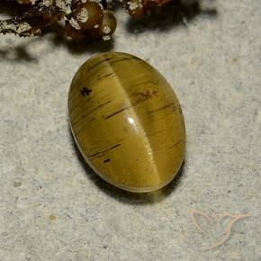 2.63 ct Yellow Cat's Eye Apatite Stone, Natural Cat's Eye Apatite in Oval Cabochon Shape for Sale