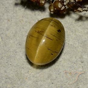 Cat's Eye Apatite Gemstone in 8.8 x 6.4 mm Size for Sale, Cat's Eye Apatite Stone in Earthy Yellow Color