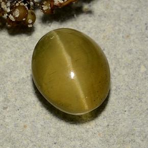 3.72 ct Green Cat's Eye Apatite Stone, Natural Cat's Eye Apatite in Oval Cabochon Shape for Sale