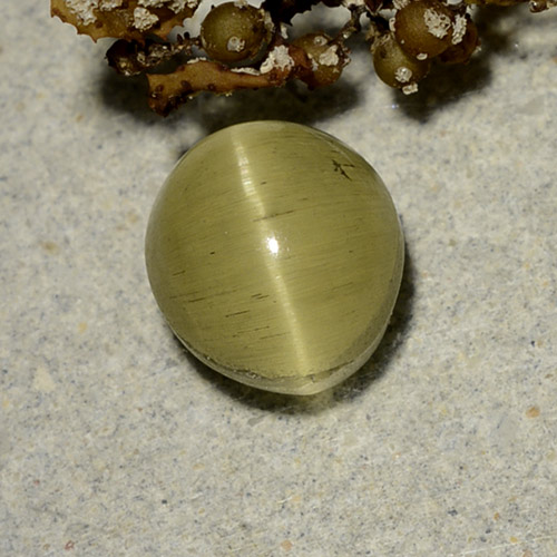 7,8 x 7mm Apatite effetto occhio di gatto giallo Ovale cabochon dal Kenya, peso di 2,61 ct, pietra preziosa naturale non trattati in purezza Translucent, Apatite effetto occhio di gatto 1pz - il colore è Giallo terroso, durezza Mohs di 5 - 5, Photo A