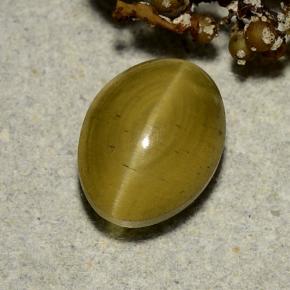 Medium Yellow Cat's Eye Apatite Gem - 3.4ct Oval Cabochon (ID: 486166)