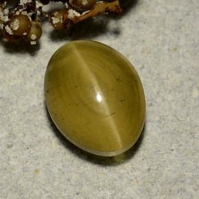 3.35 ct Yellow Cat's Eye Apatite Stone, Natural Cat's Eye Apatite in Oval Cabochon Shape for Sale