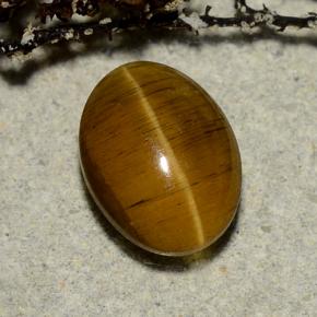 3.23 ct Brown Cat's Eye Apatite Gemstone, Cat's Eye Apatite Gem in Oval Cabochon Shape for Sale.