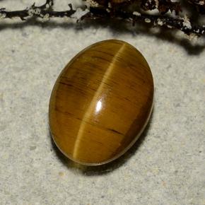 3.23 ct Brown Cat's Eye Apatite Stone, Natural Cat's Eye Apatite in Oval Cabochon Shape for Sale