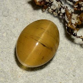 gold-braun Apatit-Katzenauge Edelstein - 3.6ct Oval Cabochon (ID: 486171)