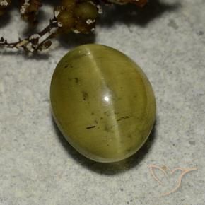 3.68 ct Yellow Cat's Eye Apatite Stone, Natural Cat's Eye Apatite in Oval Cabochon Shape for Sale