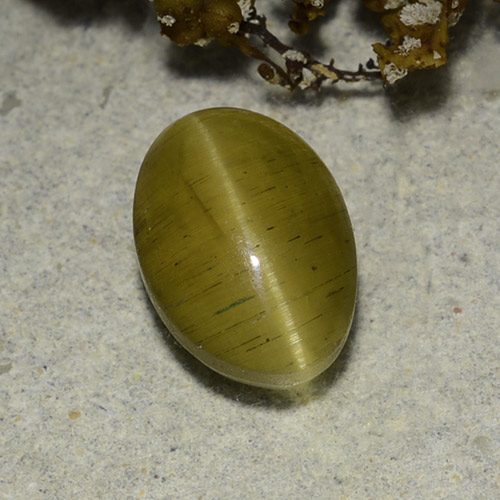 Yellowish Golden Cat's Eye Apatite Gem - 3.3ct Oval Cabochon (ID: 486174)