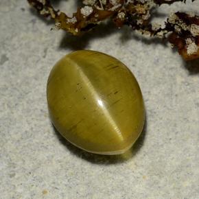 Brownish Yellow Cat's Eye Apatite Gem - 3ct Oval Cabochon (ID: 486175)