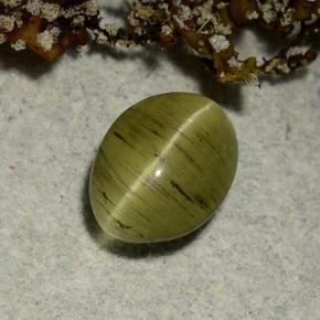 2.65 ct Green Cat's Eye Apatite Stone, Natural Cat's Eye Apatite in Oval Cabochon Shape for Sale