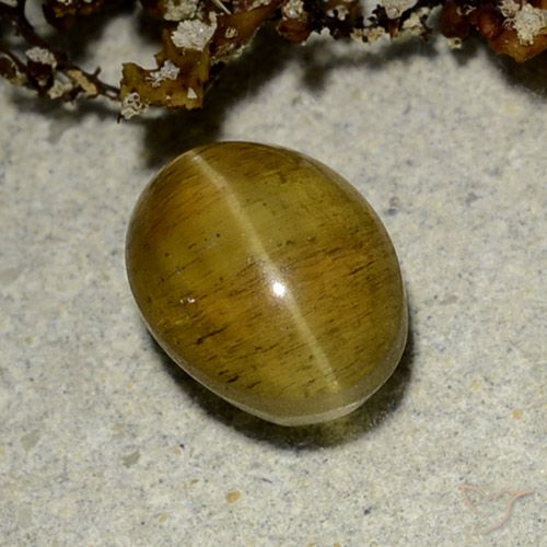 Apatite gialla a occhio di gatto da 2,5 ct, taglio ovale da 8,6 x 6,5 mm dal Kenya, Photo A