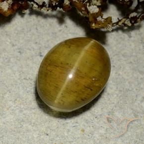2.50 ct Yellow Cat's Eye Apatite Stone, Natural Cat's Eye Apatite in Oval Cabochon Shape for Sale
